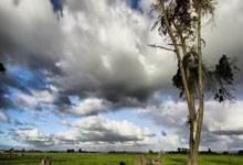 乐鱼体育：镜报：枪手夏窗欲清洗多达11人，津琴科、维埃拉在列.