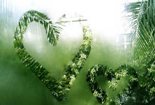 乐鱼体育：[德甲]送大礼！法兰克福门将自摆乌龙.